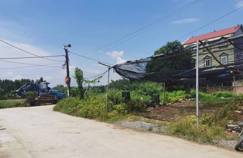 Bán đất yên Vinh- thanh lâm- mê linh- Hà Nội
