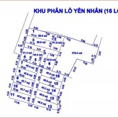 Bán đất phân lô tại Yên Nhân- Tiền Phong, gần khu công nghiệp BTL. Giá 1 tỷ/lô.