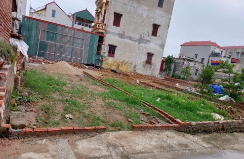 Bán đất phân lô tại Yên Nhân- Tiền Phong, gần khu công nghiệp BTL. Giá 1 tỷ/lô.