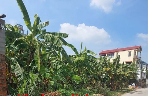 Bán lô đất phân lô 455m2, giá tốt
