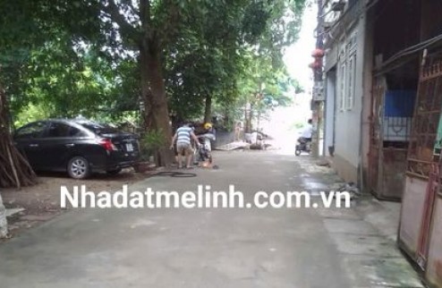 Hàng hiếm, trục chính kinh doanh tại tổ 7 Quang Minh, Mê Linh.