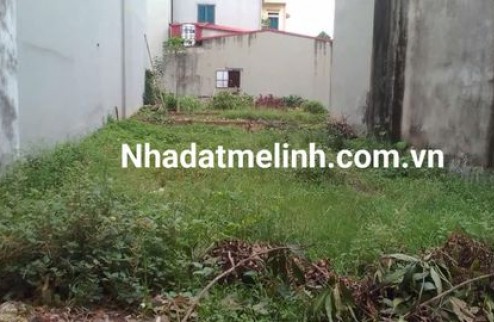 Hàng hiếm, trục chính kinh doanh tại tổ 7 Quang Minh, Mê Linh.