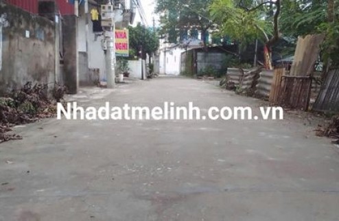 Hàng hiếm, trục chính kinh doanh tại tổ 7 Quang Minh, Mê Linh.