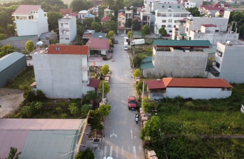 BĂng 2 đấu giá vườn dĩm kim hoa mê linh 0989726892