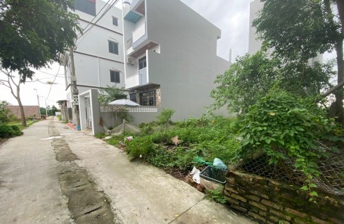 Đất tổ 9 quang minh- giáp bìa làng