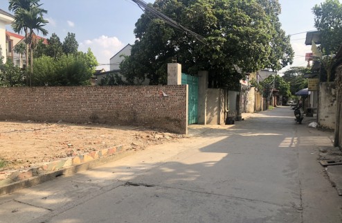 Đất kinh doanh trục chính phù trì kim hoa mê linh.