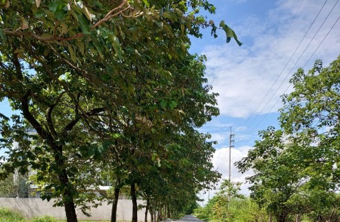 Bán Biệt Thự xây thô ven đầm khu đô thị Hà Phong, Mê Linh
