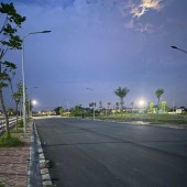 Đấu giá xa mạc liên mạc mê linh