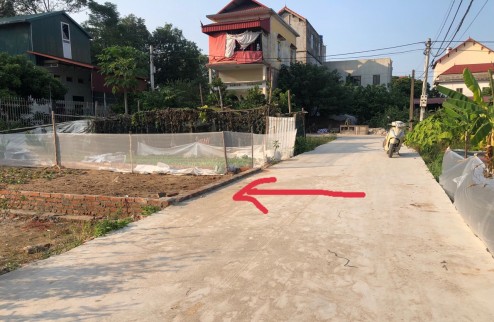 Đất tổ 10 quang minh tài chính nhỏ