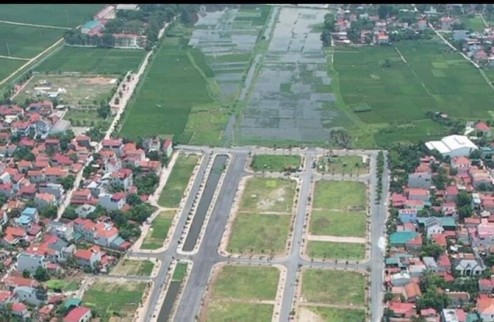 Đấu giá xa mạc liên mạc mê linh