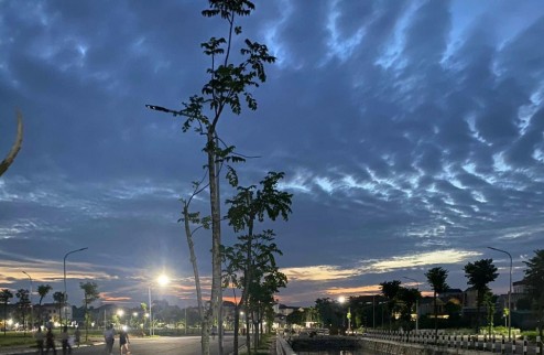 Đấu giá xa mạc liên mạc mê linh