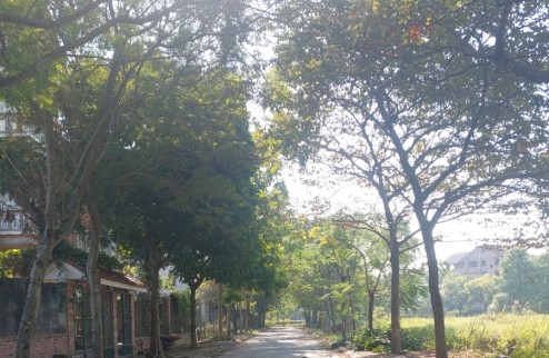 Cần bán nhiều lô đất tại khu đô thị Hà Phong, Mê Linh. Giá đầu tư