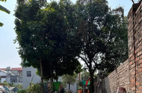 Bán 80m2 tại Trung Hậu Đoài, Tiền Phong, Mê Linh