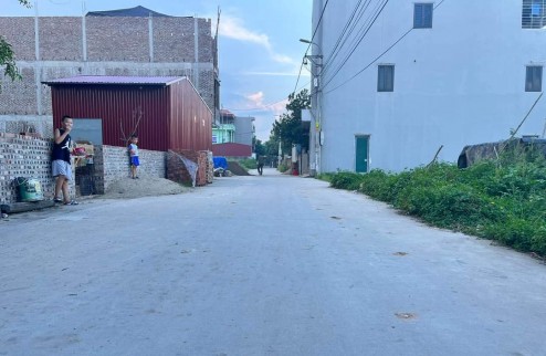 Bán 51.8m2 đất tổ 10 Quang Minh. Giá tốt