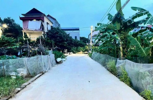 Bán 54.6m2 đất tổ 10 Quang Minh. Giá 3x tr/m2