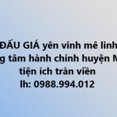 Bán đất đấu giá Yên Vinh, Mê Linh, đối diện đô thị HUD Mê Linh, vị trí đắc địa ngay Vành Đai 4 120m