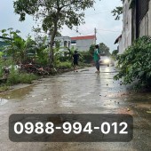 0988-994-012 Cần bán 67m2, full thổ cư, yên vinh, thanh lâm, mê linh, hà nội