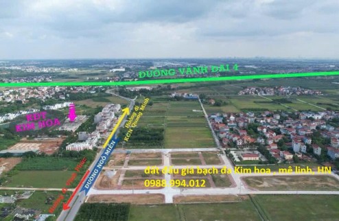 ĐẤT KINH DOANH MẶT ĐƯỜNG 24m Đấu giá Bạch đa, KIM HOA, mê linh, Hà Nội, GẦN VÀNH ĐAI 4 ĐƯỜNG 120m Vị trí đắc địa