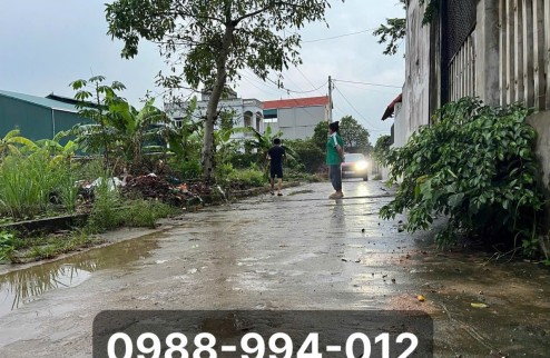 0988-994-012 Cần bán 67m2, full thổ cư, yên vinh, thanh lâm, mê linh, hà nội