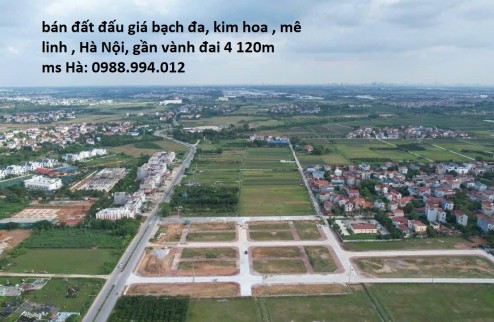 CƠ HỘI VÀNG ĐẦU TƯ ĐẤT VÀNH ĐAI 4 tại đấu giá BẠCH ĐA KIM HOA MÊ LINH HÀ NỘI