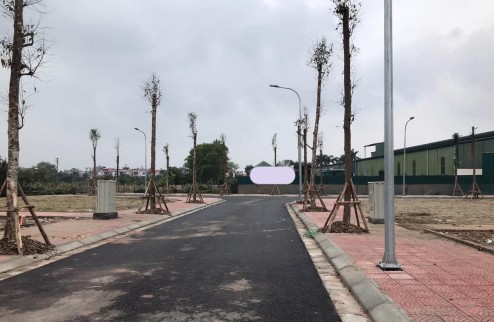 BÁN 100m2 ĐẤT ĐẤU GIÁ TỔ 4 – QUANG MINH, MÊ LINH, HÀ NỘI , đất quang minh sáng như Bình Minh