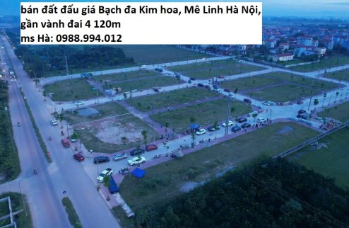CƠ HỘI VÀNG ĐẦU TƯ ĐẤT VÀNH ĐAI 4 tại đấu giá BẠCH ĐA KIM HOA MÊ LINH HÀ NỘI