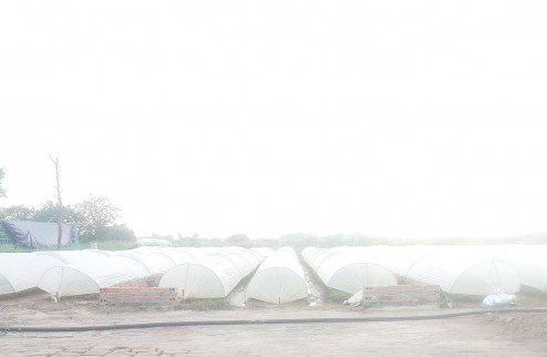 Bán Lk 16 khu A, sổ đỏ, dt 100m2. Giá tốt