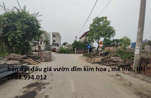 SIÊU PHẨM ĐẤT ĐẤU GIÁ VÀNH ĐAI 4 – VƯỜN DĨM KIM HOA, MÊ LINH, HÀ NỘI