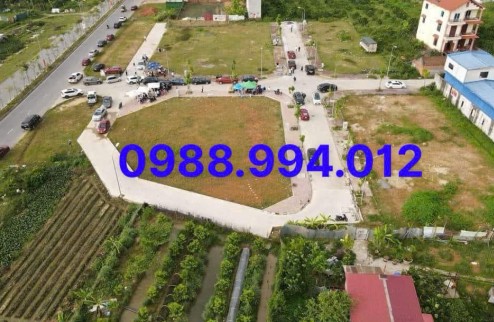 Quay lại trang chủ Bất động sảnĐăng tin miễn phí hà bất động sản hà bất động sản Đăng tinĐăng tin KHÔNG MUA HÔM NAY- NGÀY MAI LẠI TIẾC! Bán đất đấu giá Yên Vinh Thanh Lâm, Mê Linh, Hà Nội