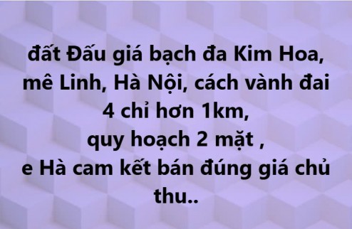 CƠ HỘI VÀNG ĐẦU TƯ ĐẤT VÀNH ĐAI 4 tại đấu giá BẠCH ĐA KIM HOA MÊ LINH HÀ NỘI