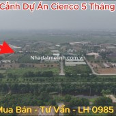 Bán liền kề Cienco 5 mê linh. LK8, đường 24m. Gia tốt