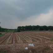 Bán liền kề 5 Cienco 5 Mê Linh. Giá tốt