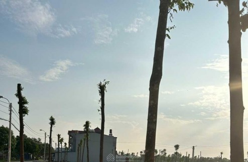 ĐẤT ĐẤU GIÁ Tam Đồng – Mê Linh – Hà Nội, cam kết bán đúng giá chủ thu