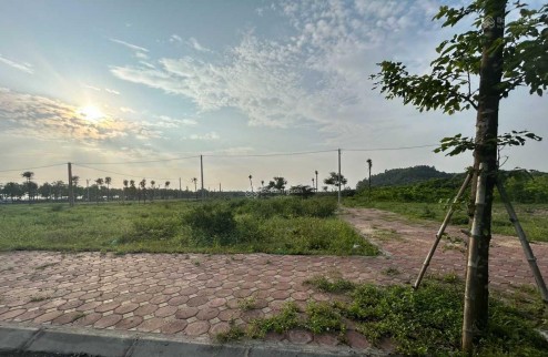 ĐẤT ĐẤU GIÁ Tam Đồng – Mê Linh – Hà Nội, cam kết bán đúng giá chủ thu