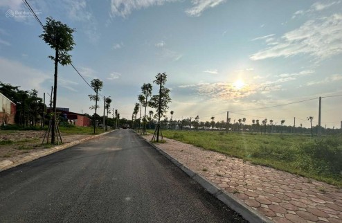 ĐẤT ĐẤU GIÁ Tam Đồng – Mê Linh – Hà Nội, cam kết bán đúng giá chủ thu