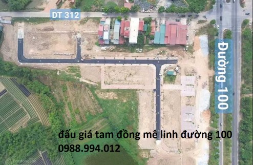 ĐẤT ĐẤU GIÁ Tam Đồng – Mê Linh – Hà Nội, cam kết bán đúng giá chủ thu