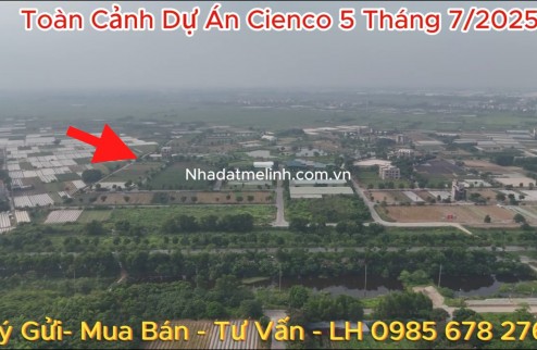 Bán liền kề Cienco 5 mê linh. LK8, đường 24m. Gia tốt