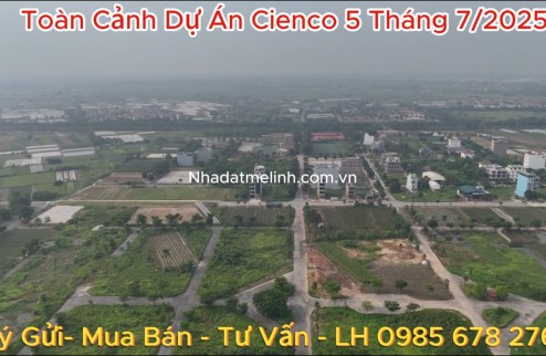 Bán liền kề dự án cienco 5 Mê Linh. LK5 khu B, giá nhỉnh 30 triệu/m2