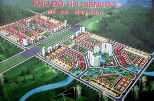 Cập nhật bảng hàng Cienco 5 Tháng 7
