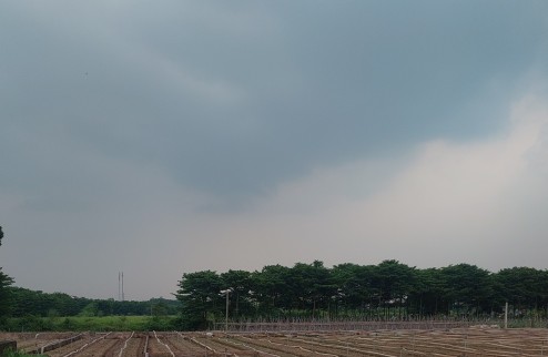 Bán liền kề 5 Cienco 5 Mê Linh. Giá tốt