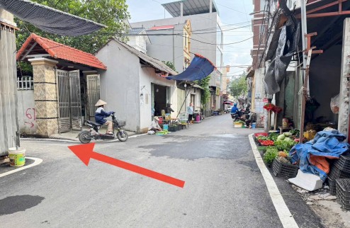 Đất trung tâm Huyện Mê Linh , thôn Nội đồng , xã Đại Thịnh, huyện Mê Linh, Hà Nội